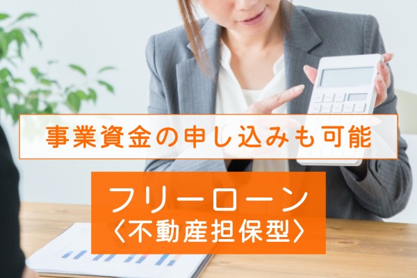 事業資金の申し込みも可能。フリーローン